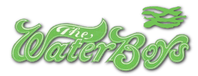 The Waterboys