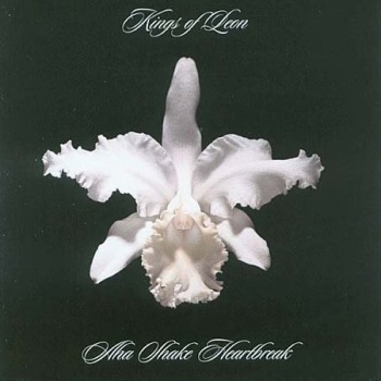 Pochette de Aha Shake Heartbreak