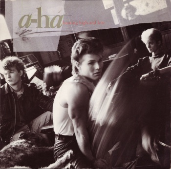 Pochette de Hunting High And Low
