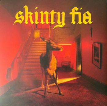 Pochette de Skinty Fia